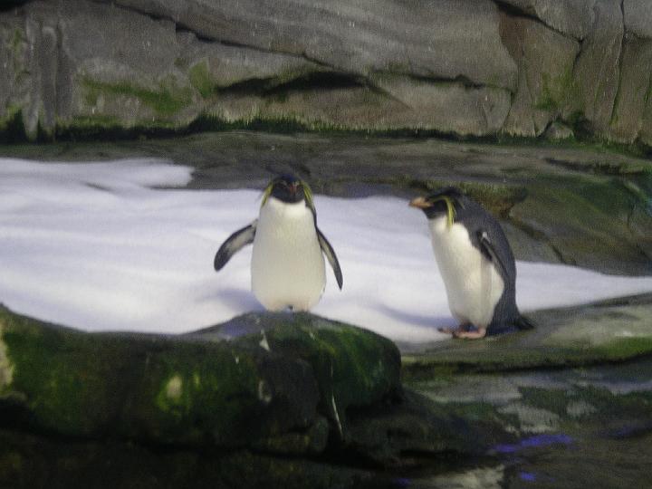 Berlijn 2009 ZOO161.jpg